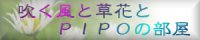 PIPO����